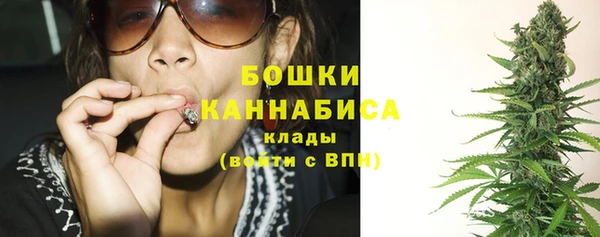 хмурый Семилуки