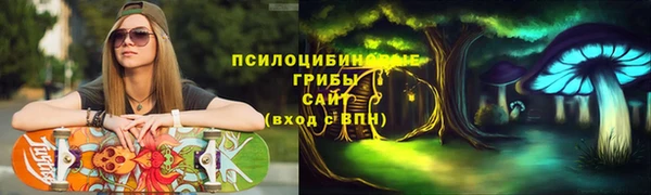 2c-b Семёнов