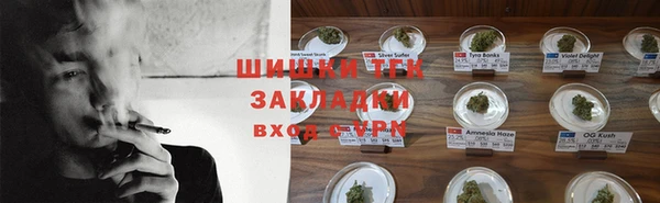 хмурый Семилуки